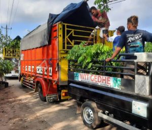 witgedhe_tabulampot_jogja 1